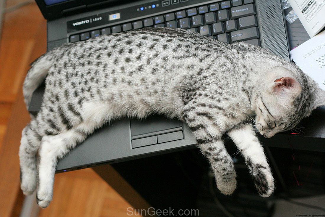 SunGeek Computers Pc Repair